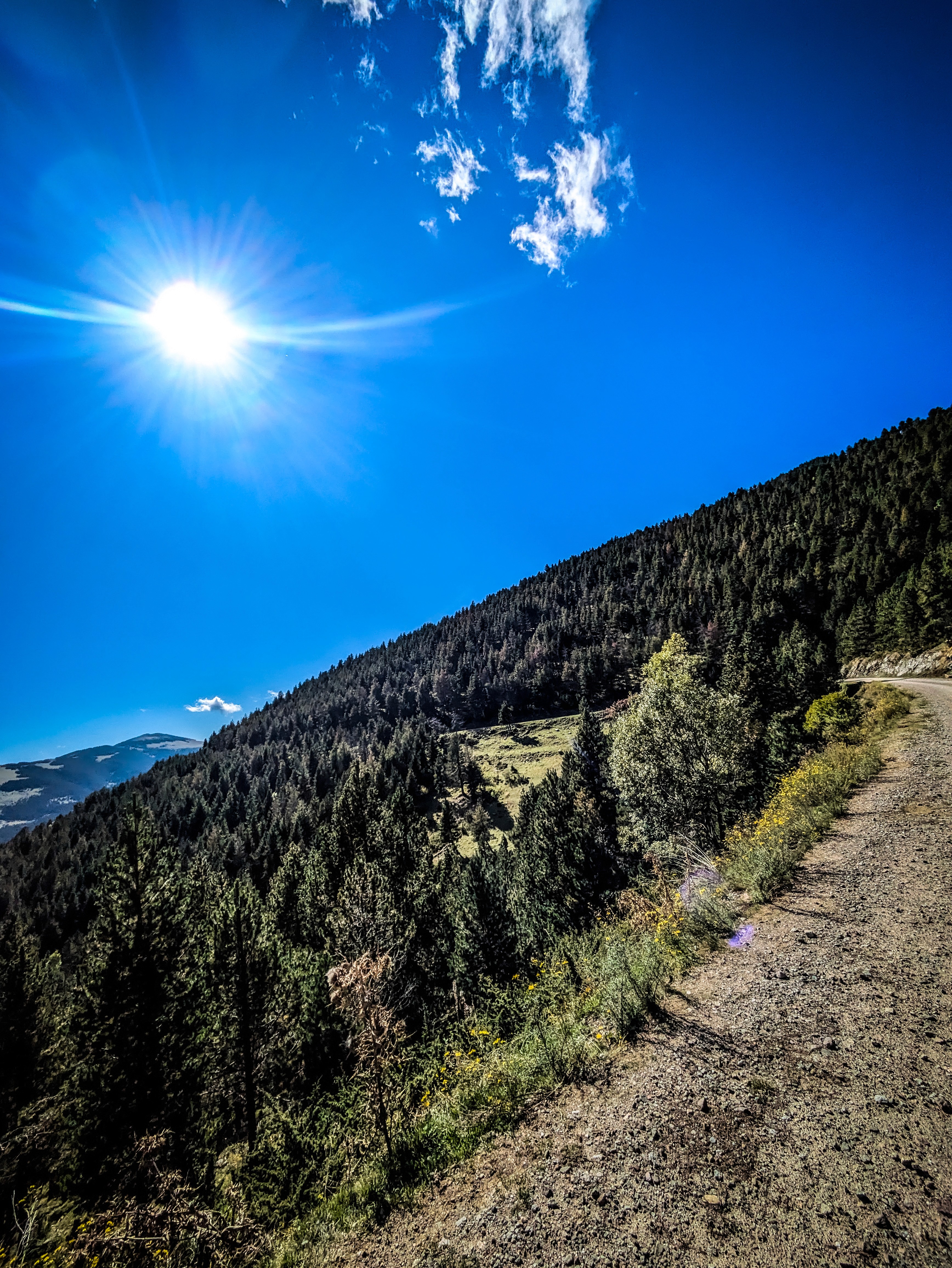 Traveler walking across golden dunes in AlUla desert under clear blue sky.