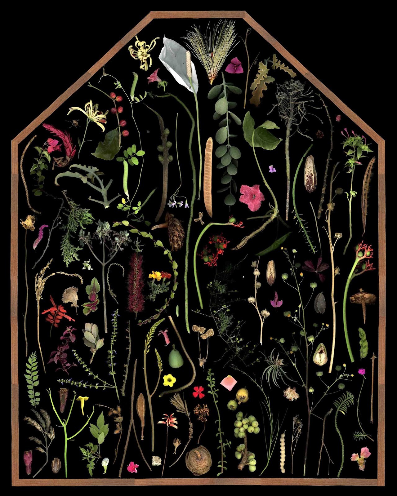 herd of sheep on road painting