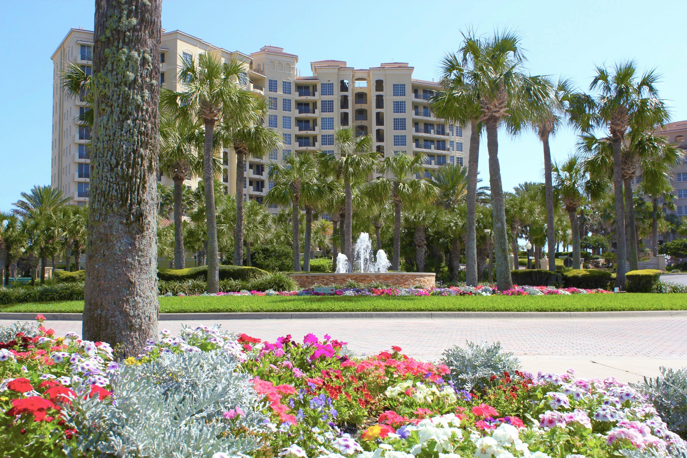 Palm Coast Commercial Landscaping