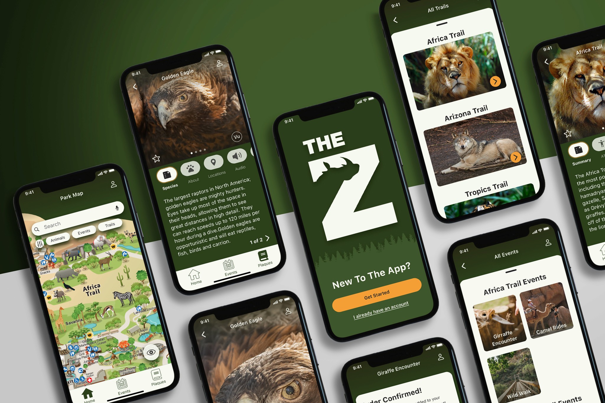 The Zoo Case Study