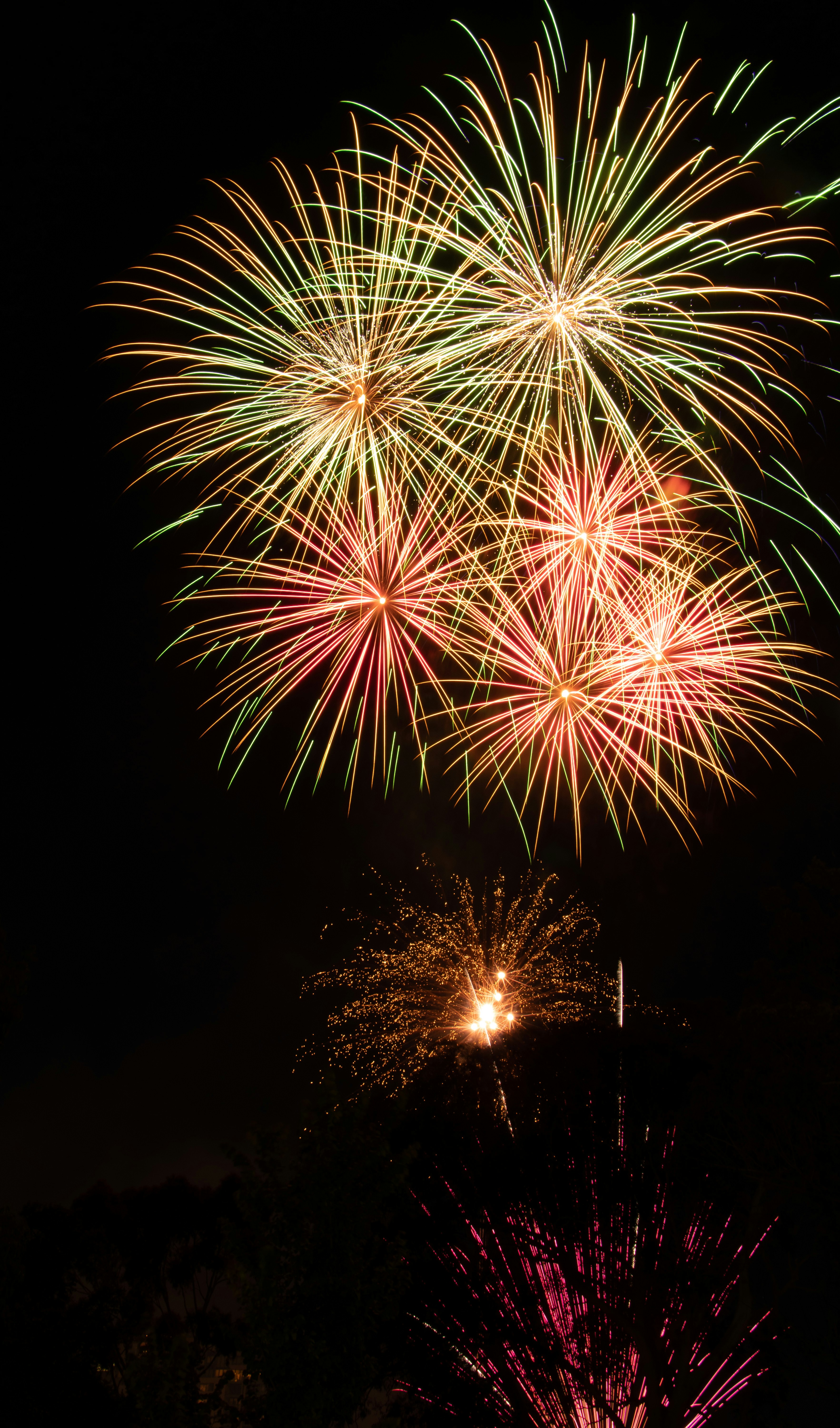 fireworks in the night sky