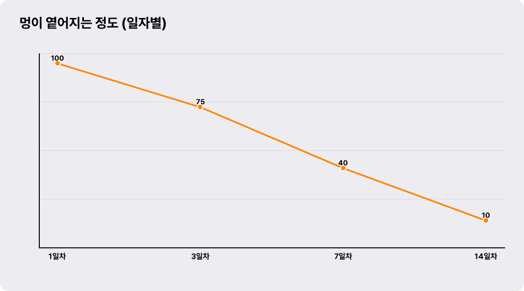 멍이 옅어지는 정도 (일자별)