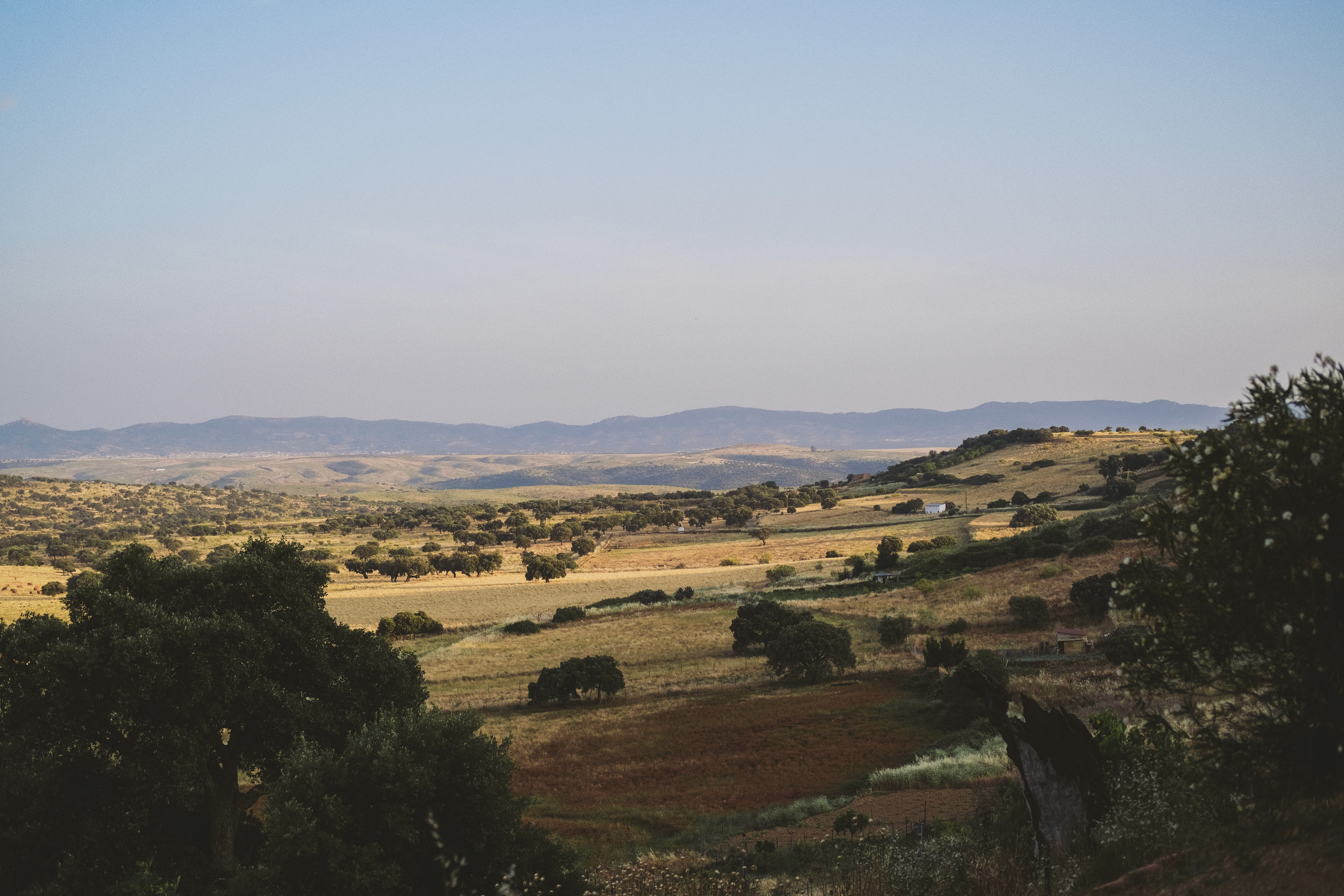 Clean kitchen with wooden flooring