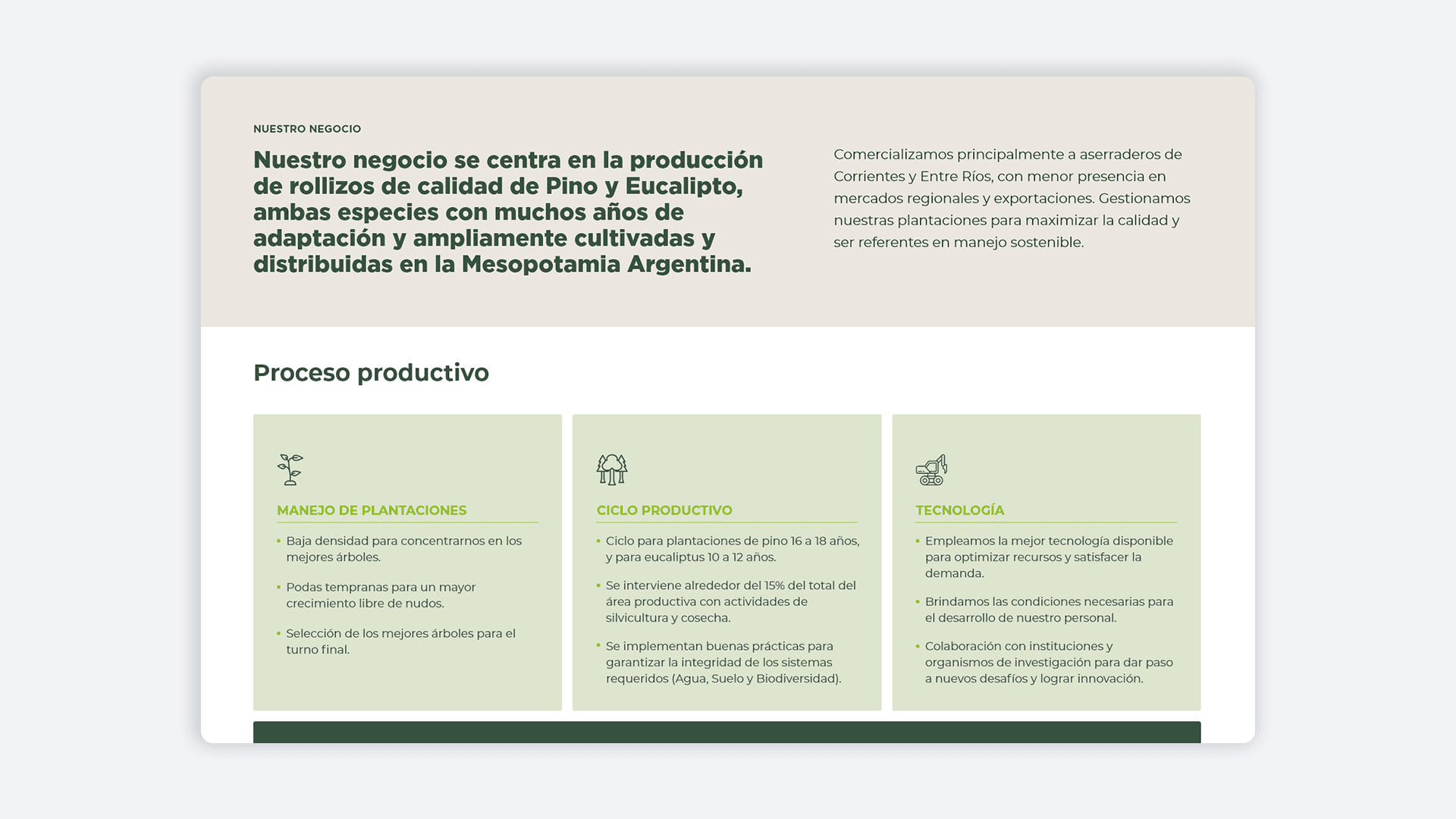 Sección web sobre producción de troncos de pino y eucalipto en la Mesopotamia argentina, detallando el ciclo productivo.
