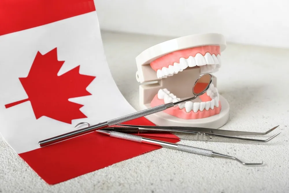 dental inspection closeup