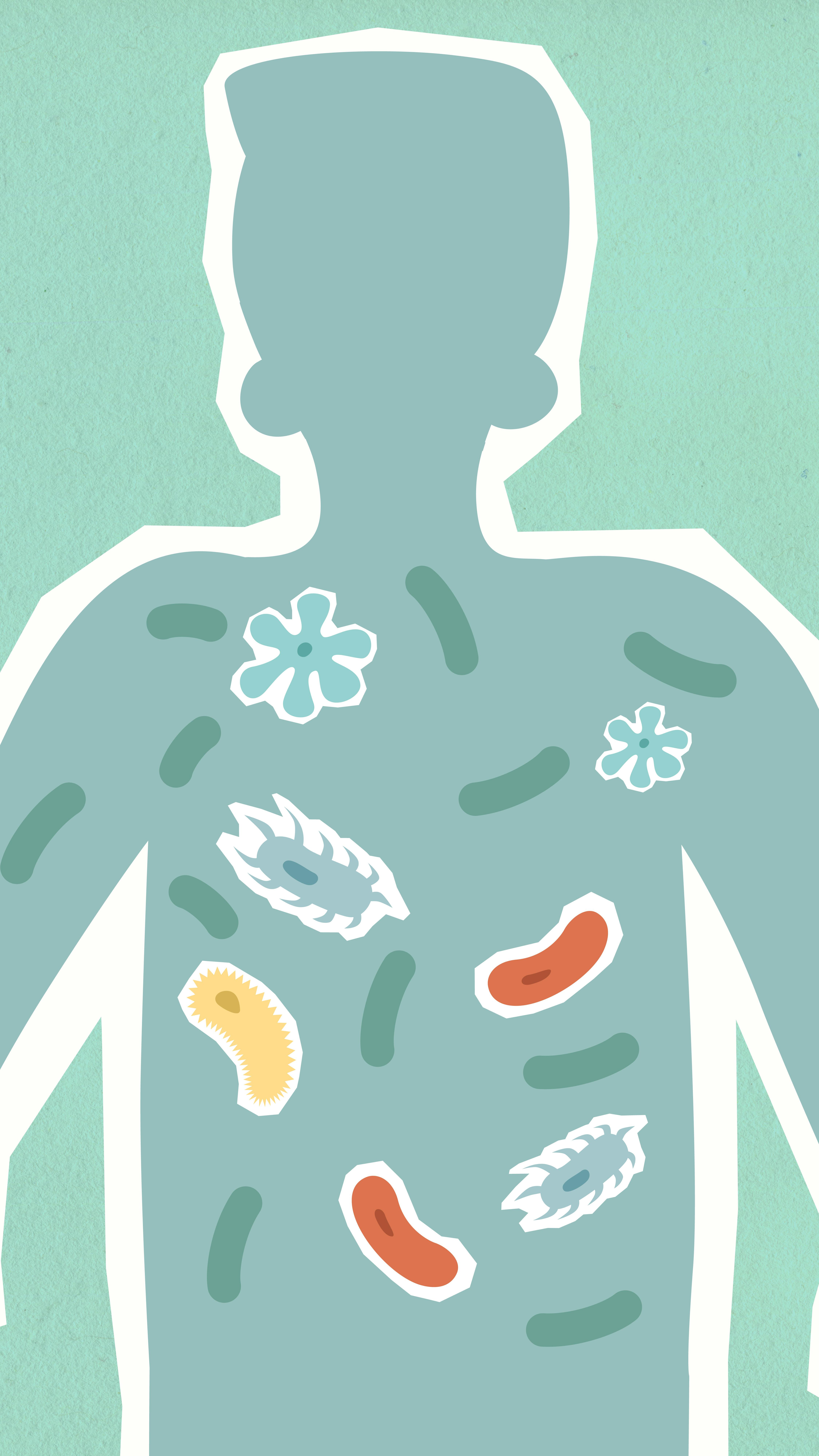 illustration-depicting-microbiome-within-a-human-silhouette-on-a-textured-backgr - monstera-production (pexels)