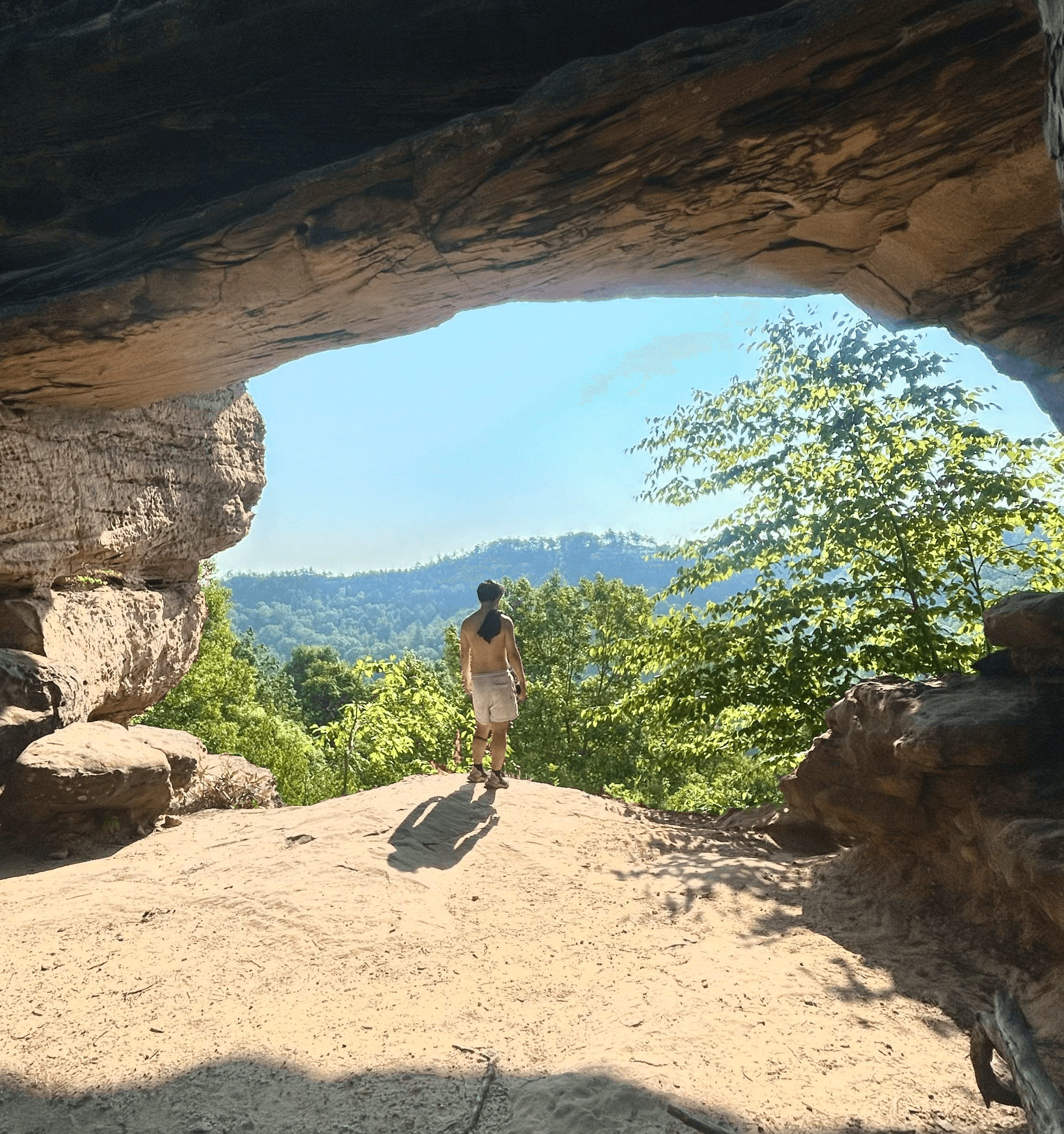 A close-up of a pink cocktail in a martini glass, set against a nighttime background with soft, blurred colors.