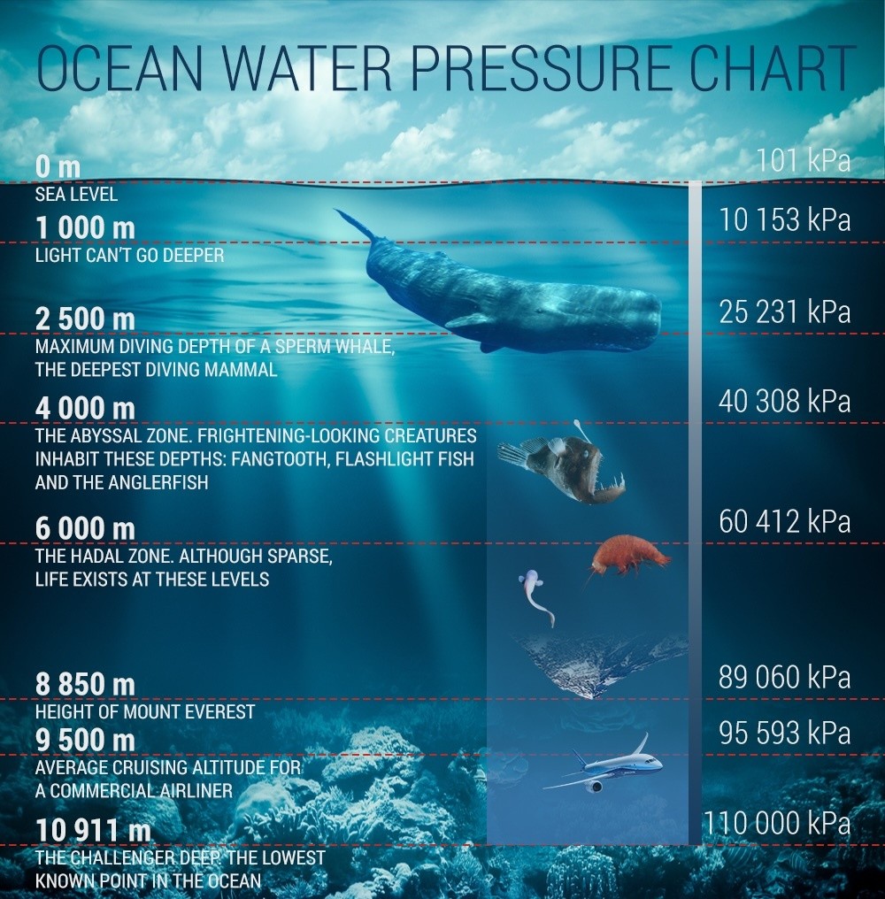 Pressure at 6000m depth — around 600 bar