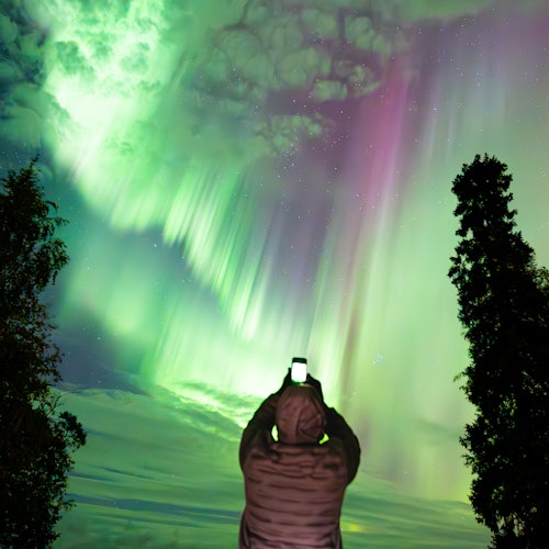 aurora portrait