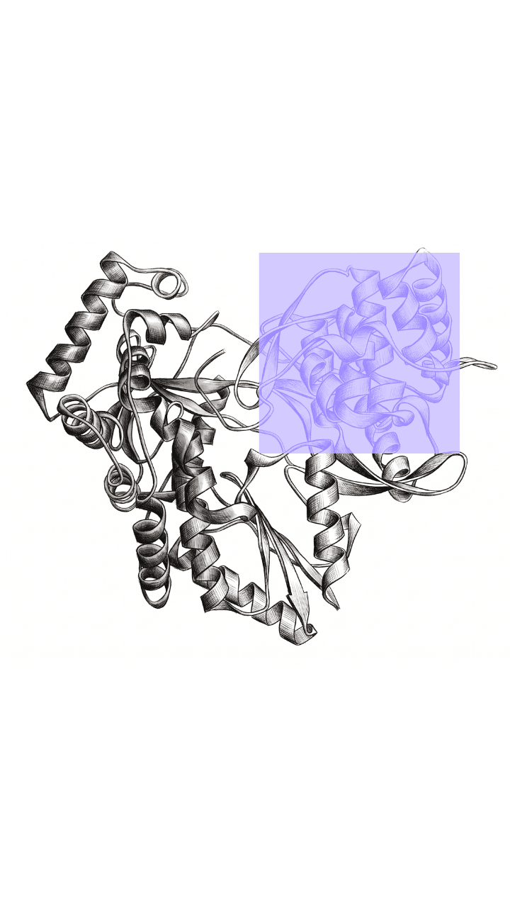 Scientific visualization of RdRp Thumb-1, the conserved viral polymerase pocket targeted by MDL-001