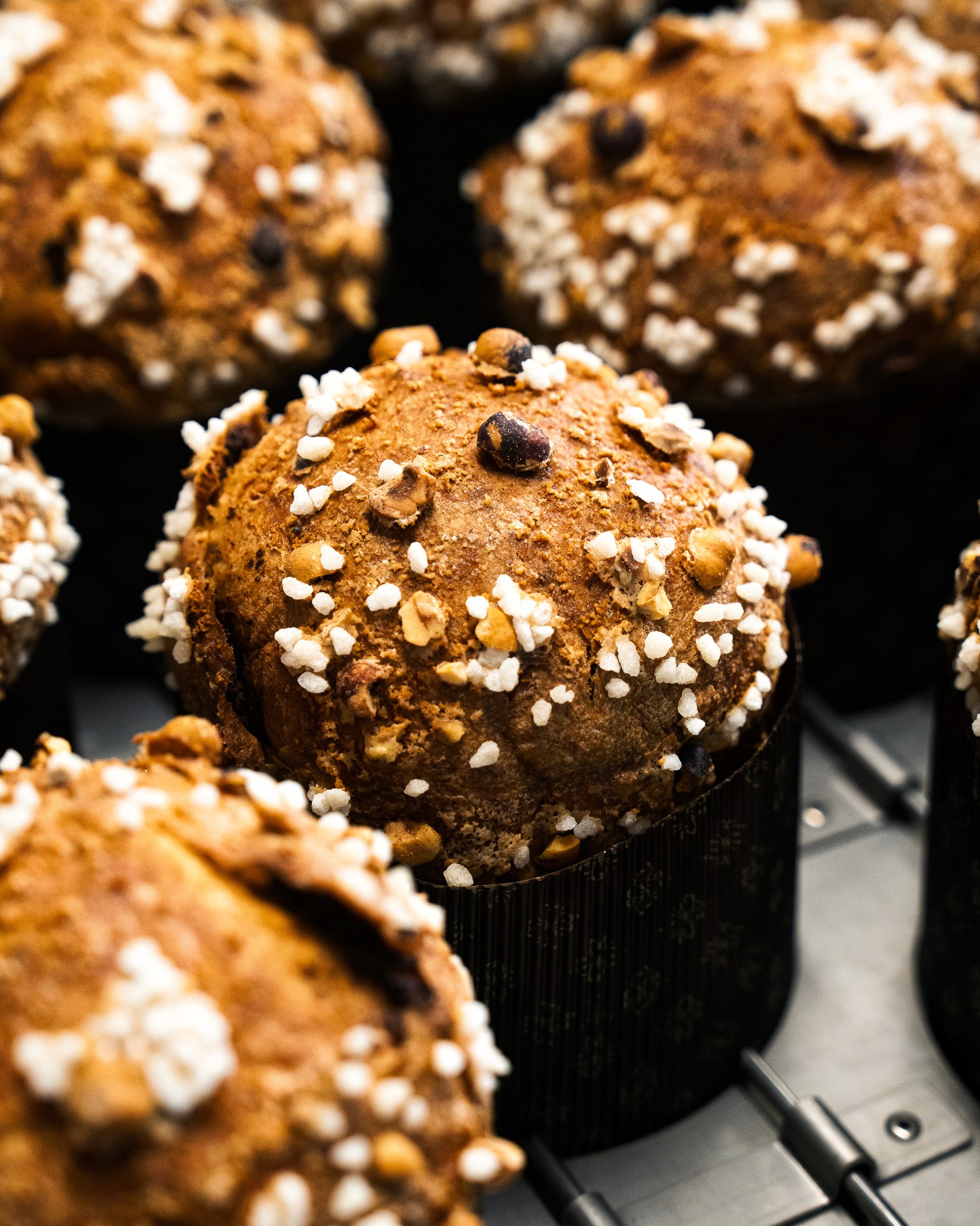 Fleur, Ortie, Photo de studio, Noir et blanc, pierretmae