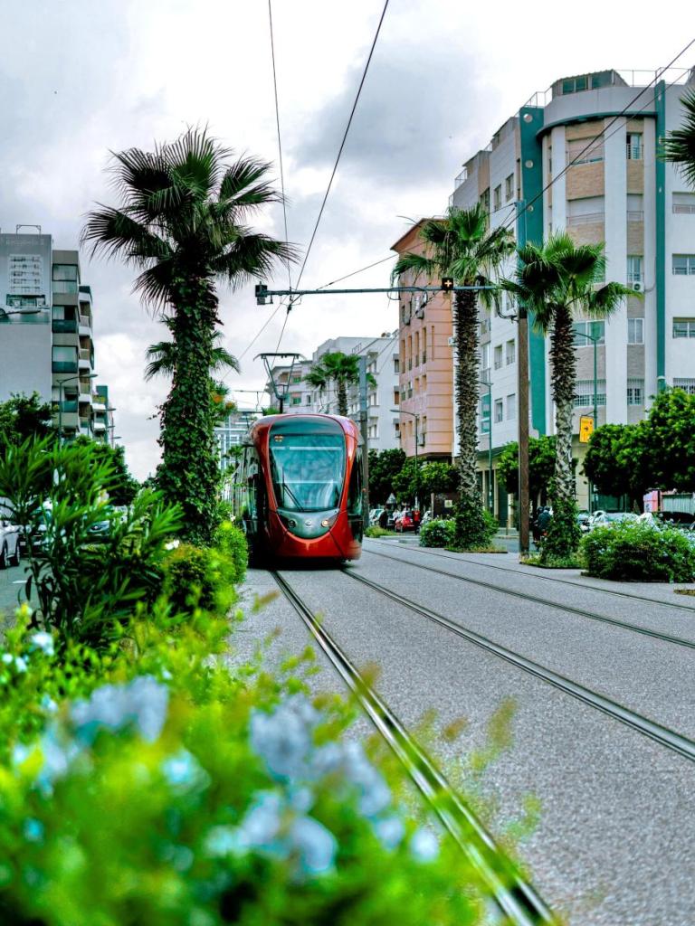 trams travelling through the streets of casablanca