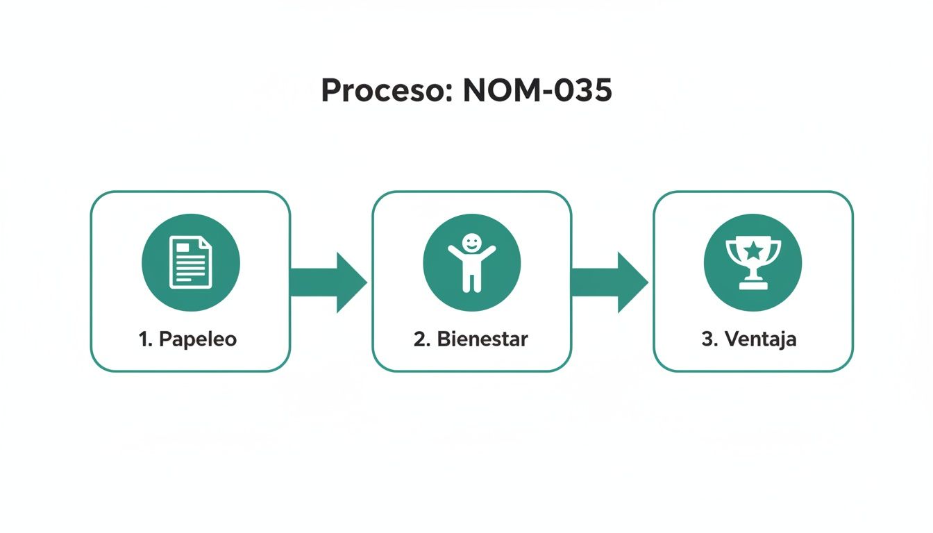Diagrama de flujo que ilustra el proceso de NOM-035: del papeleo al bienestar y la ventaja.
