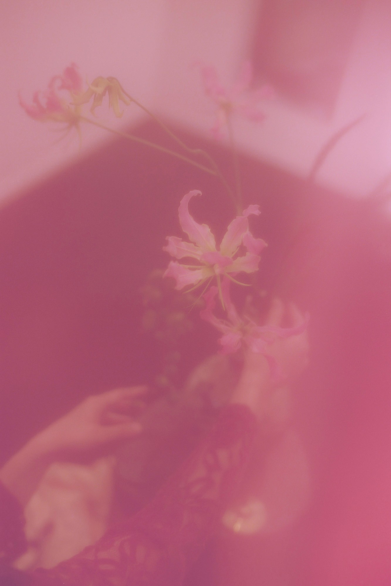 Taisei Matsumoto, 2023 exhibition view 19