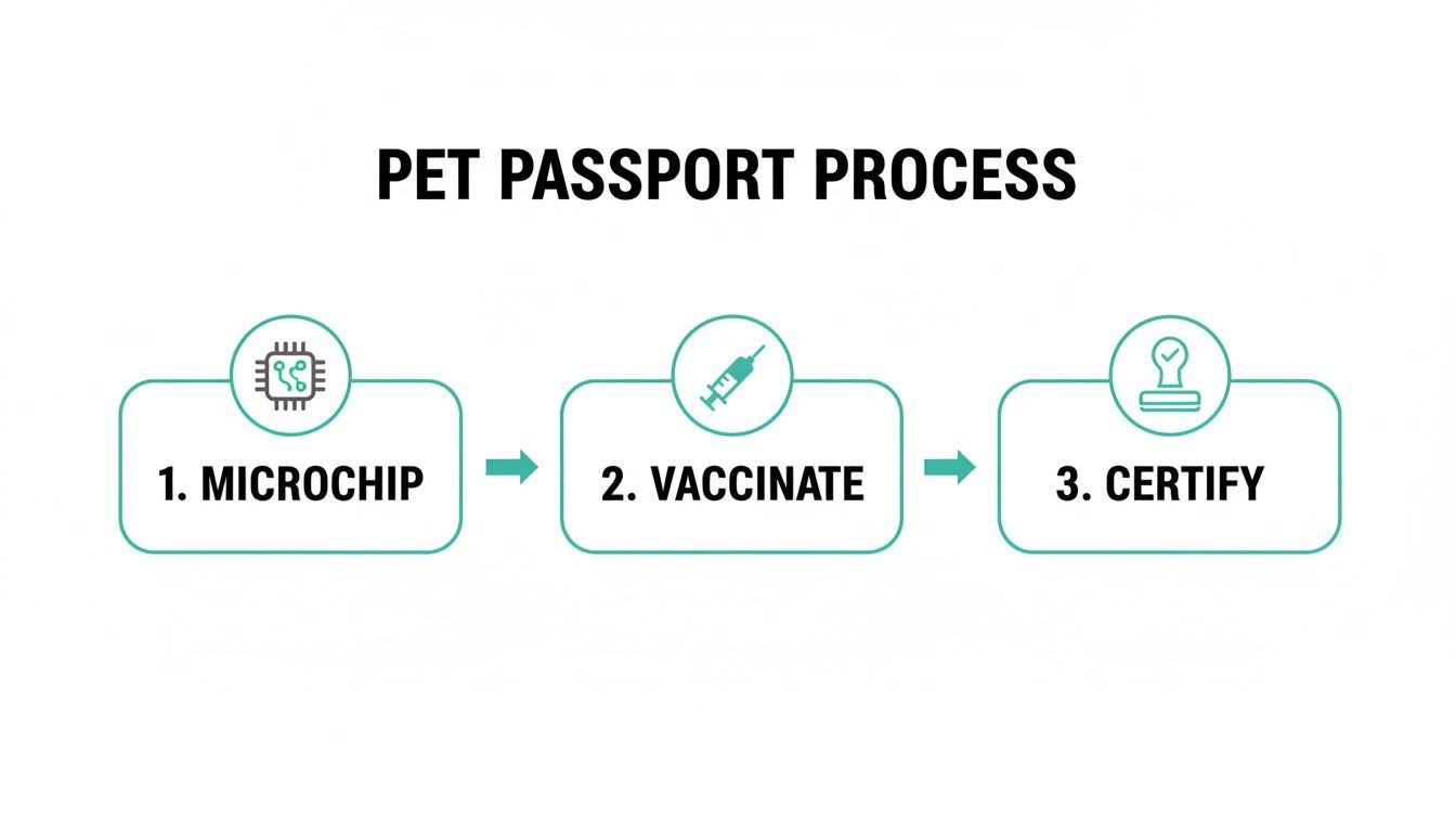 A three-step diagram illustrates the pet passport process: microchipping, vaccination, and certification.