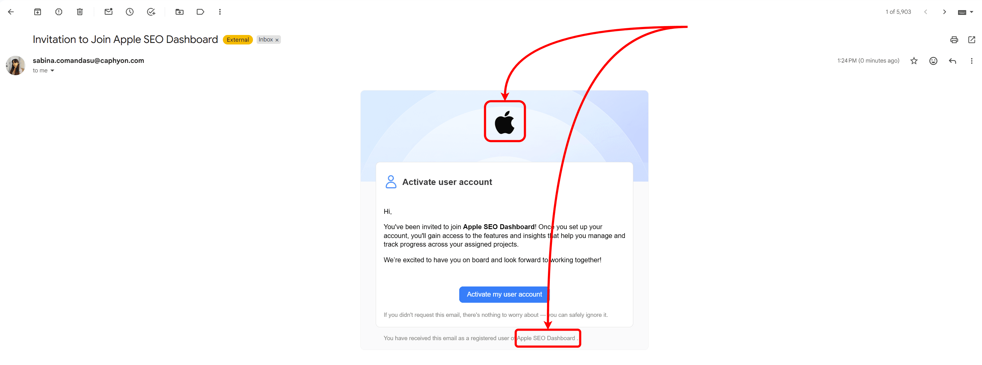 how-to-set-up-whitelabel-email
