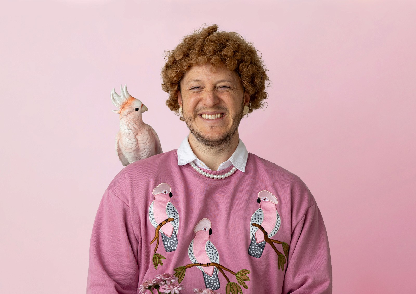 hi josh merchandise