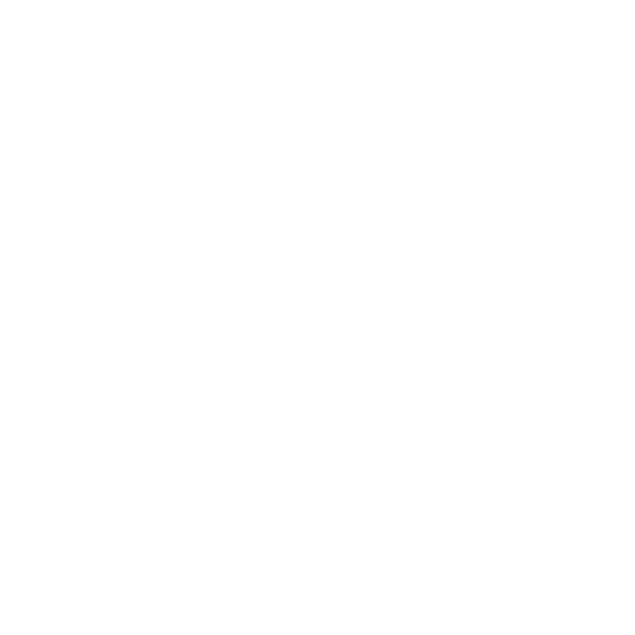 Hoka White Logo