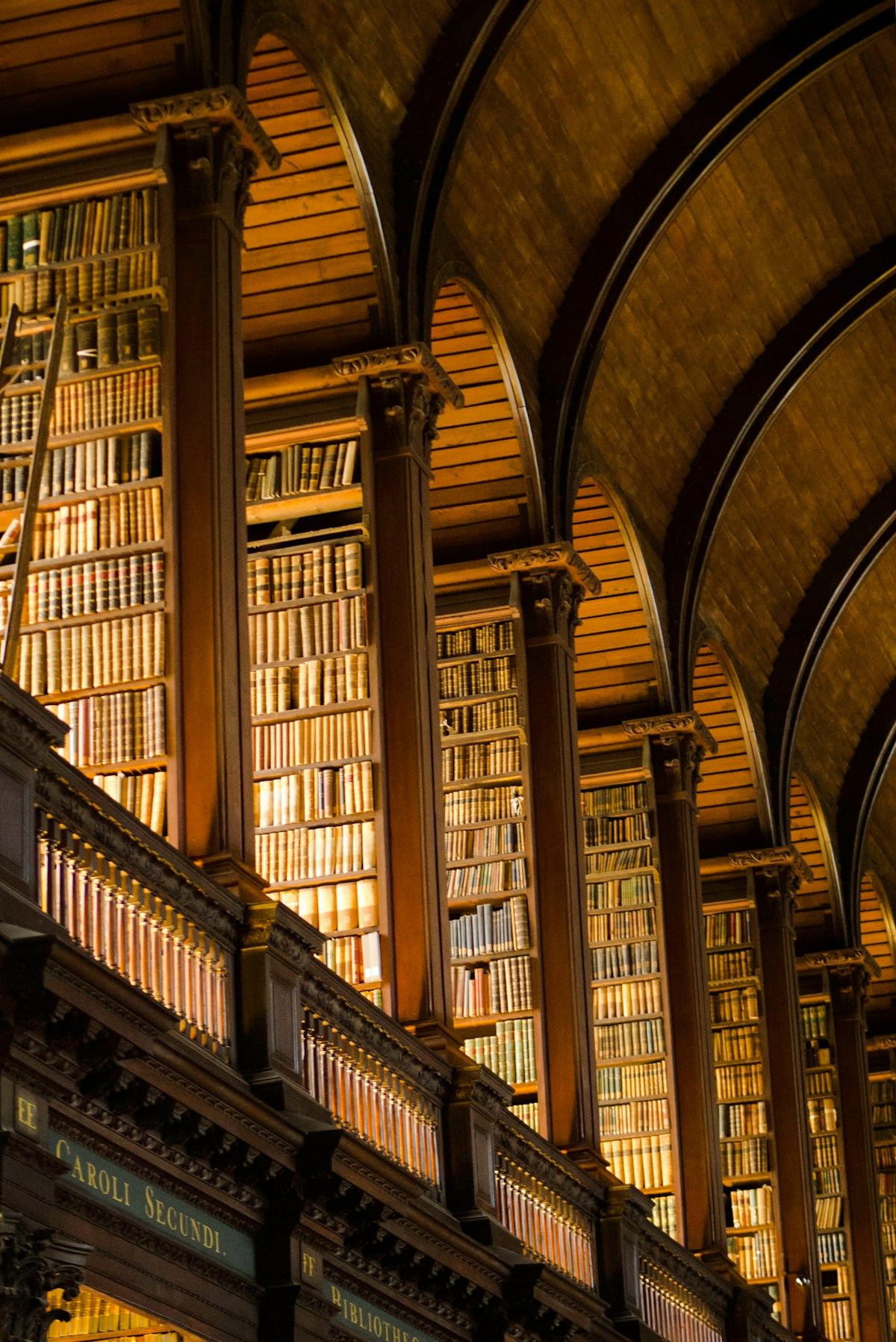 Library shelves in warm lamplight.