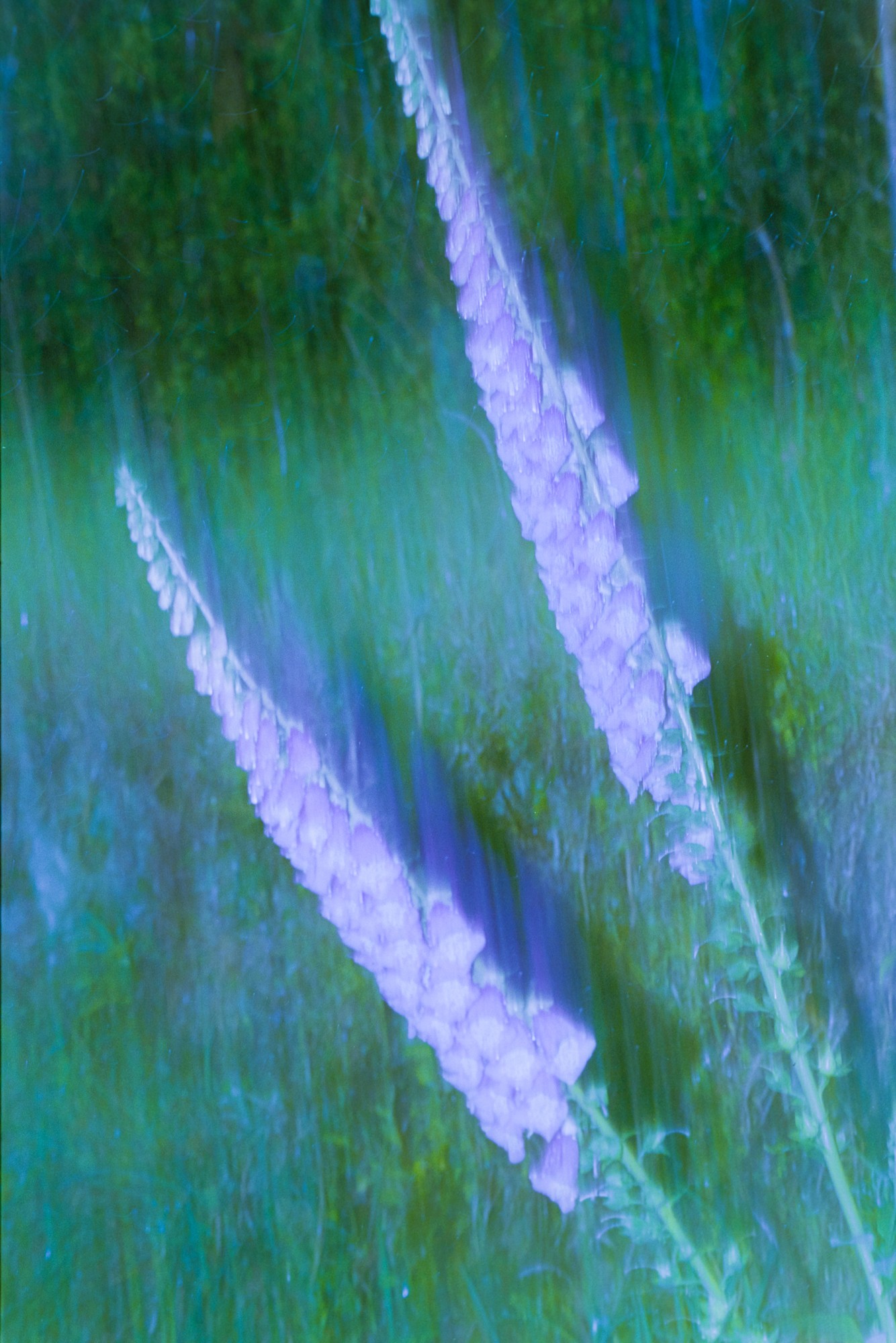Taisei Matsumoto, 2023 exhibition work 020