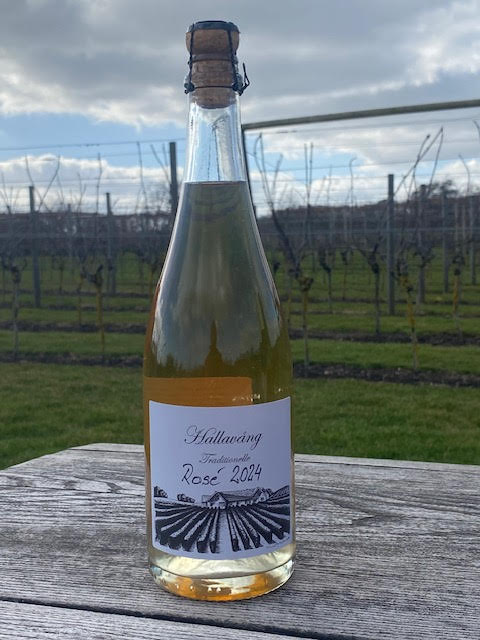 Elara wine pairings: reds for meats, whites for seafood, elevating meals