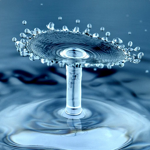 Water drops