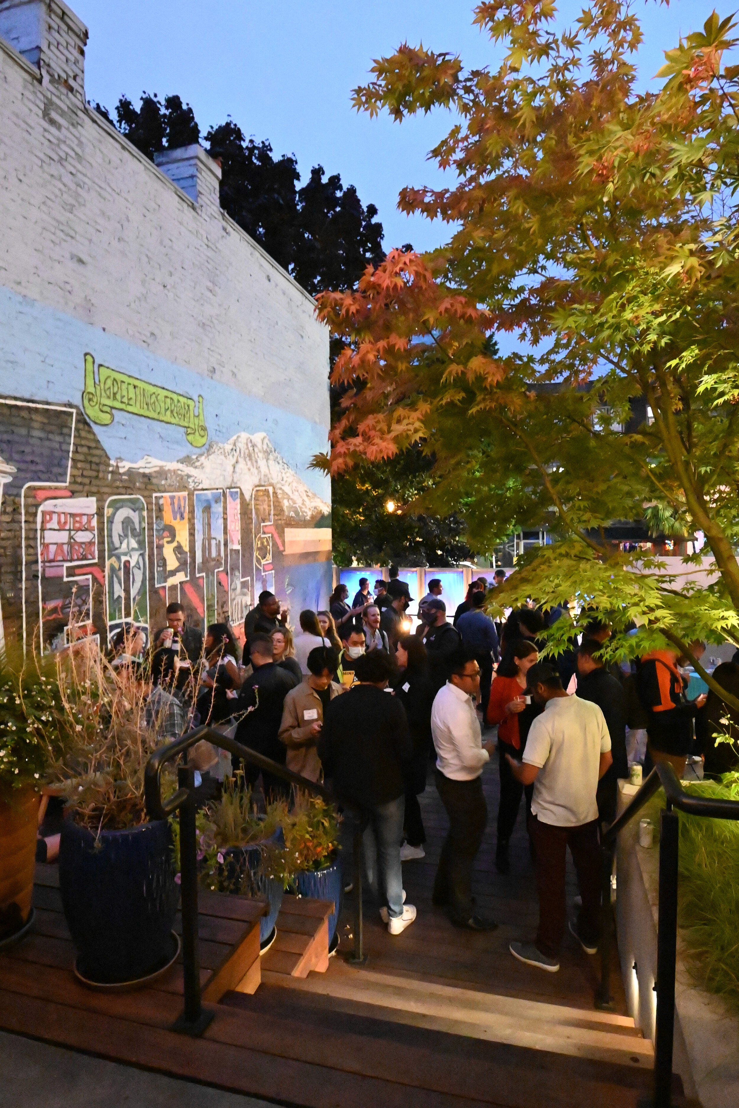 DSC_5203.jpg