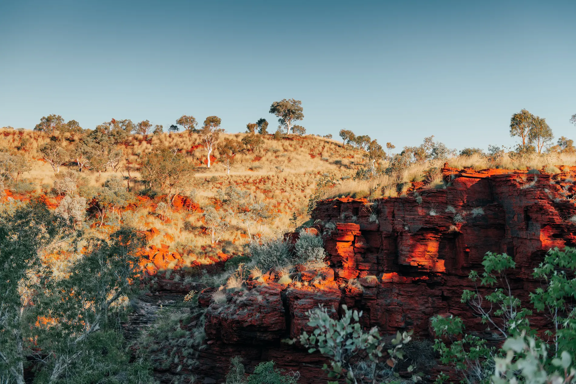 Red rock ledges and spinifex country under a clear blue sky