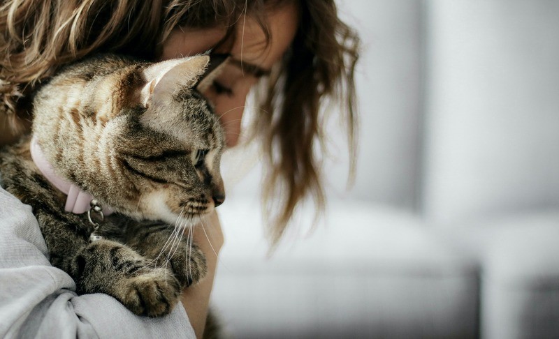 Woman holding a cat