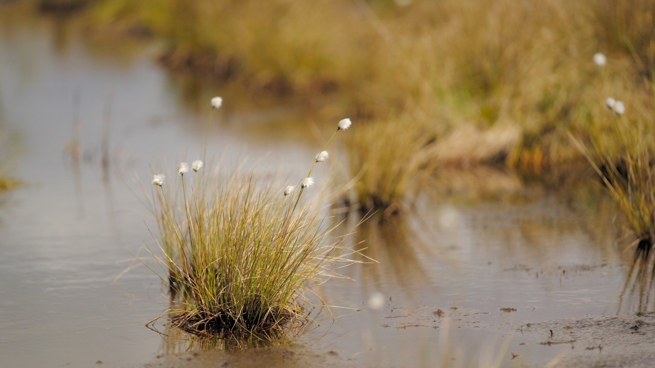 Visual Narrative - Video Production Northern Ireland