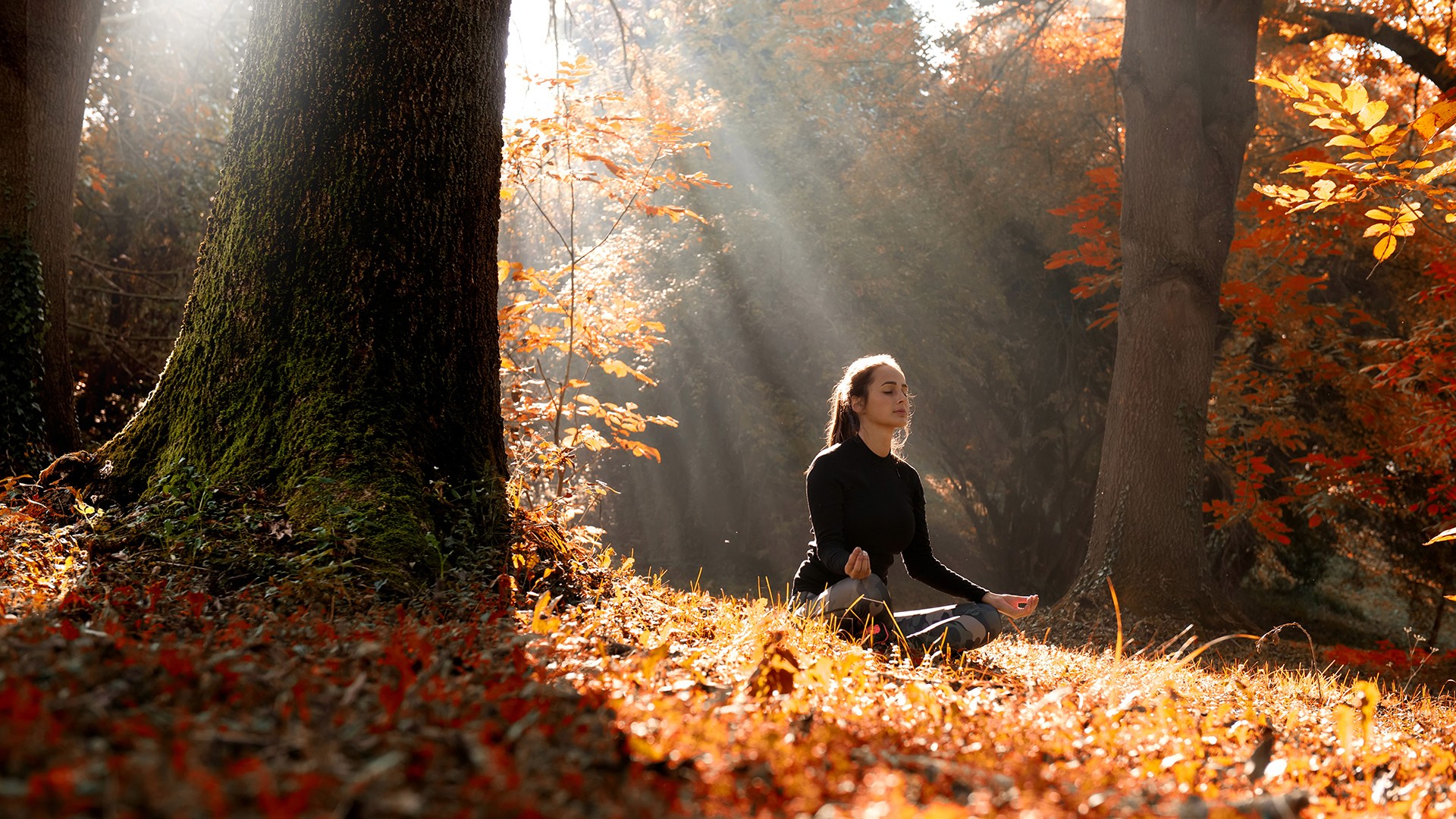 Woman meditating in woods