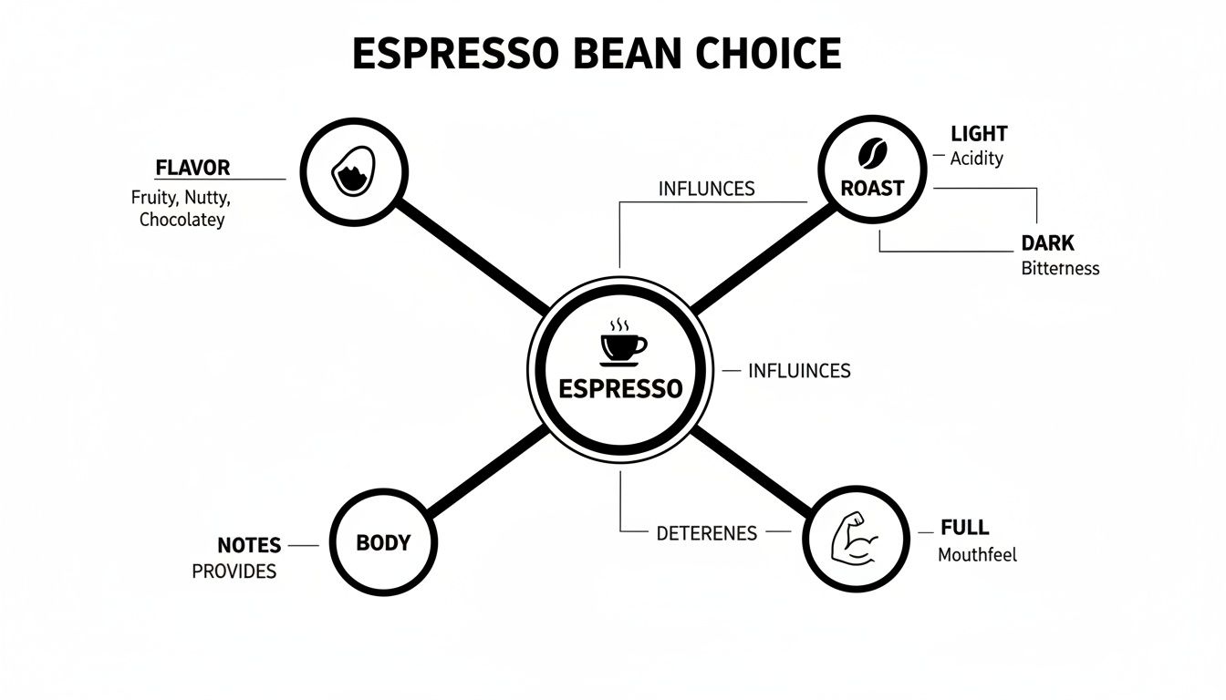 A diagram illustrating the key factors influencing espresso bean choice: flavor, roast, body, and mouthfeel.