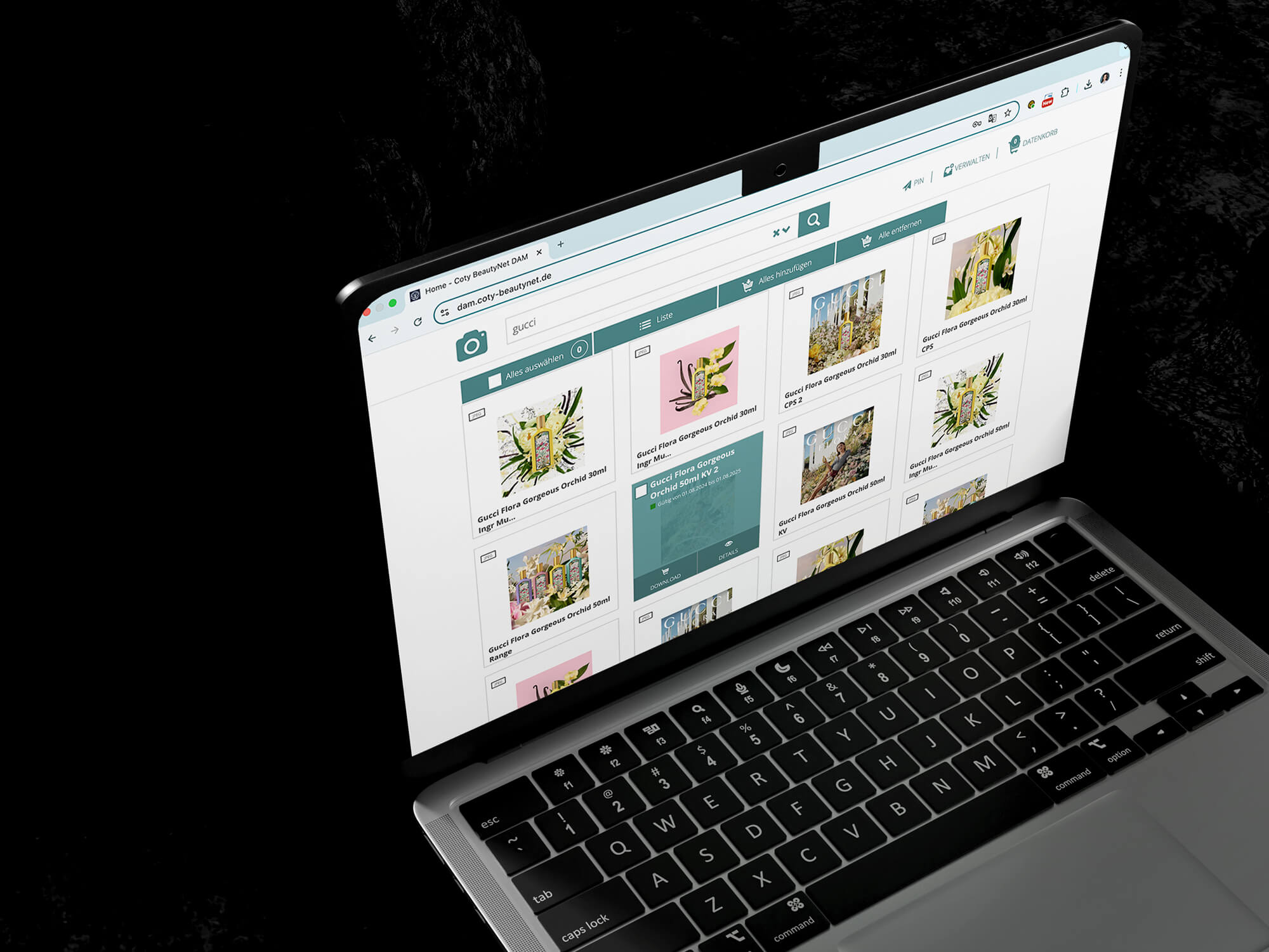 dietz digital case coty