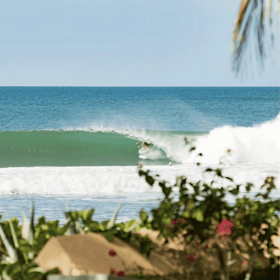 Surfer riding a wave on a sunny day – surfboard rental in popoyo