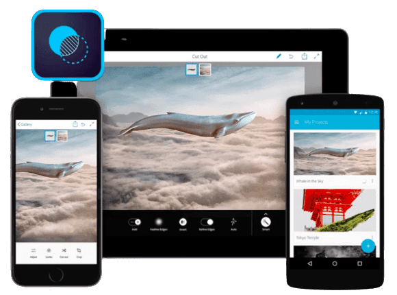 Cohesive design on multiple devices
