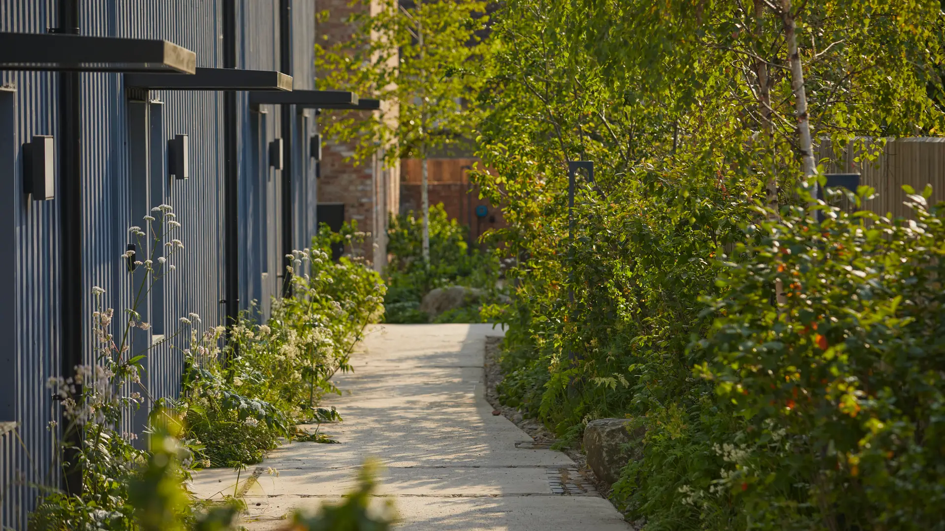 A narrow path surrounded by greenery leads to a building, with lush plants flanking either side.