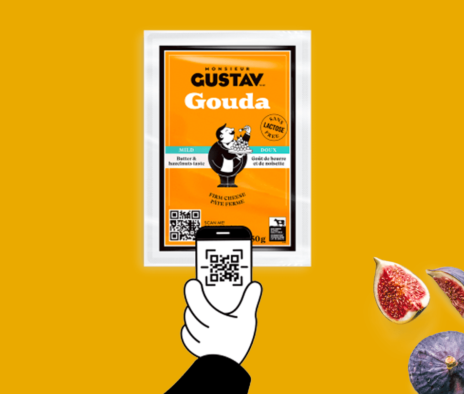 m gustav using the webAR experience
