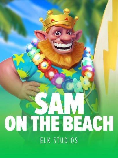 Sam on the Beach - cover