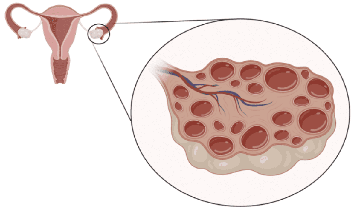 A diagram of a human body

AI-generated content may be incorrect.