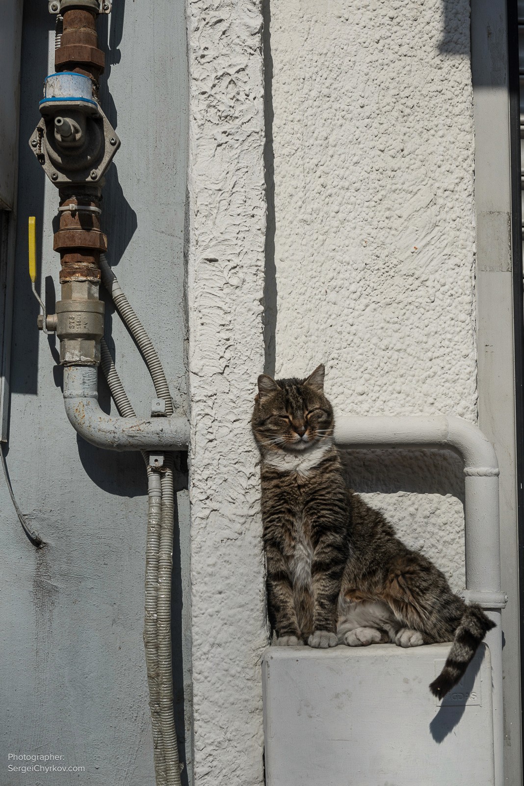 Istanbul March 2020. COVID-19. Photographer: Sergei Chyrkov