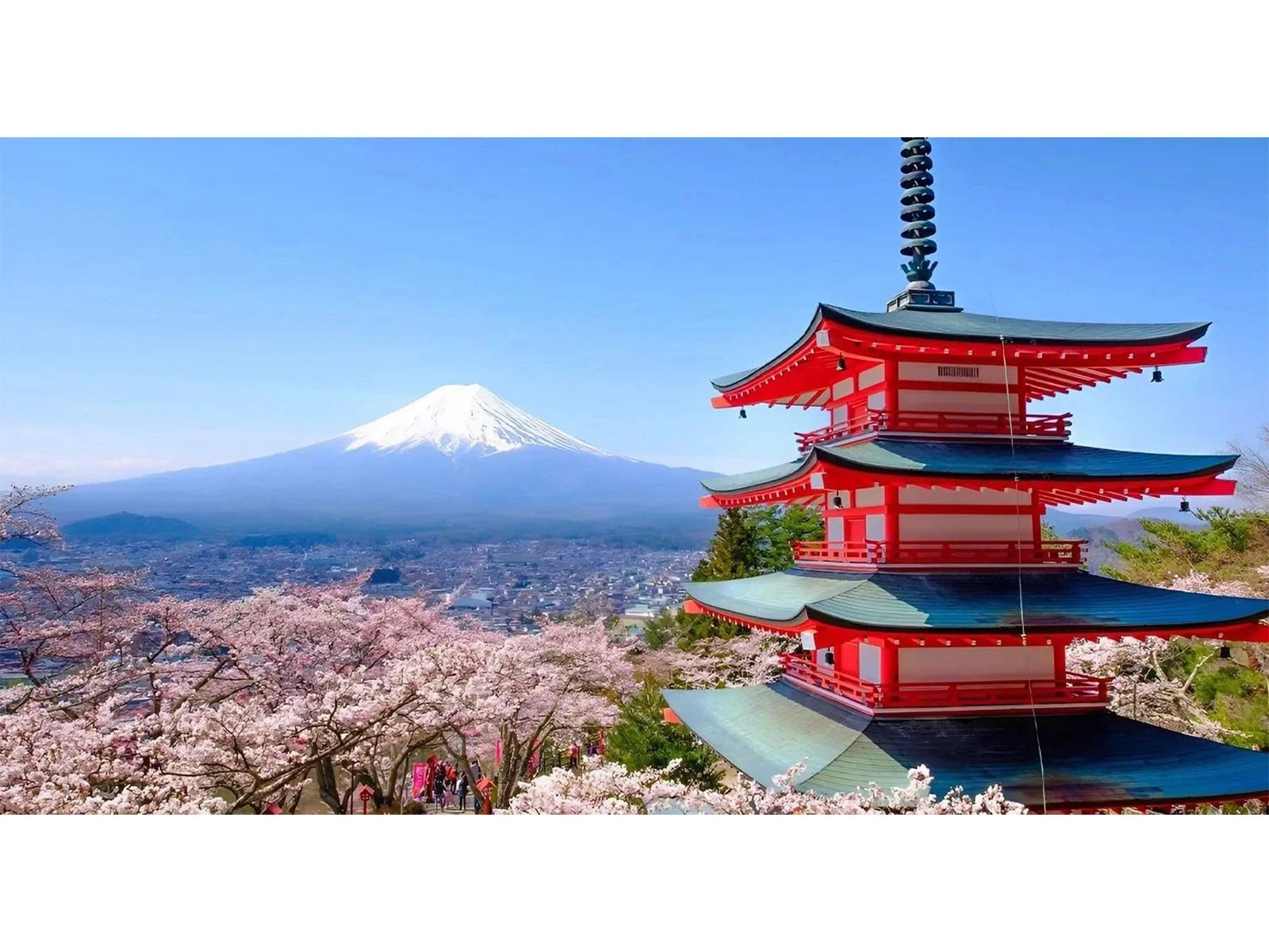 Japan Tour Package 7 Nights 8 Days
