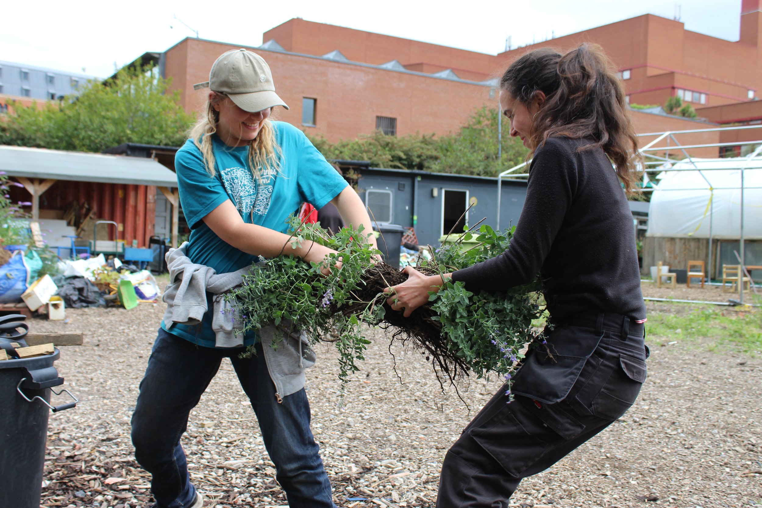 Photo Credit - Global Generation