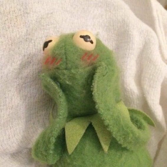 cat-typing-viciously