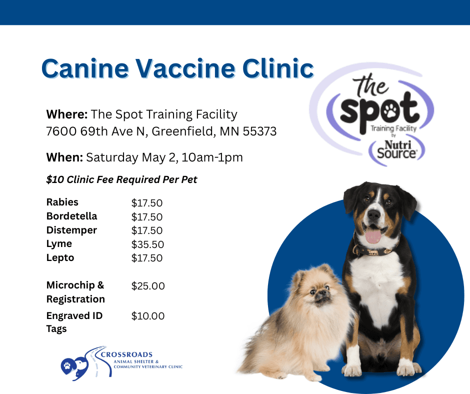 Small dog being held