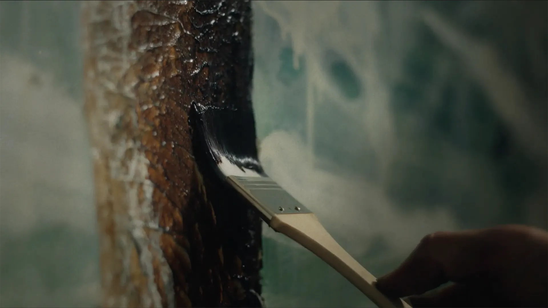 William Mackinnon for Nowness: second media thumbnail showing a supporting scene from the project.
