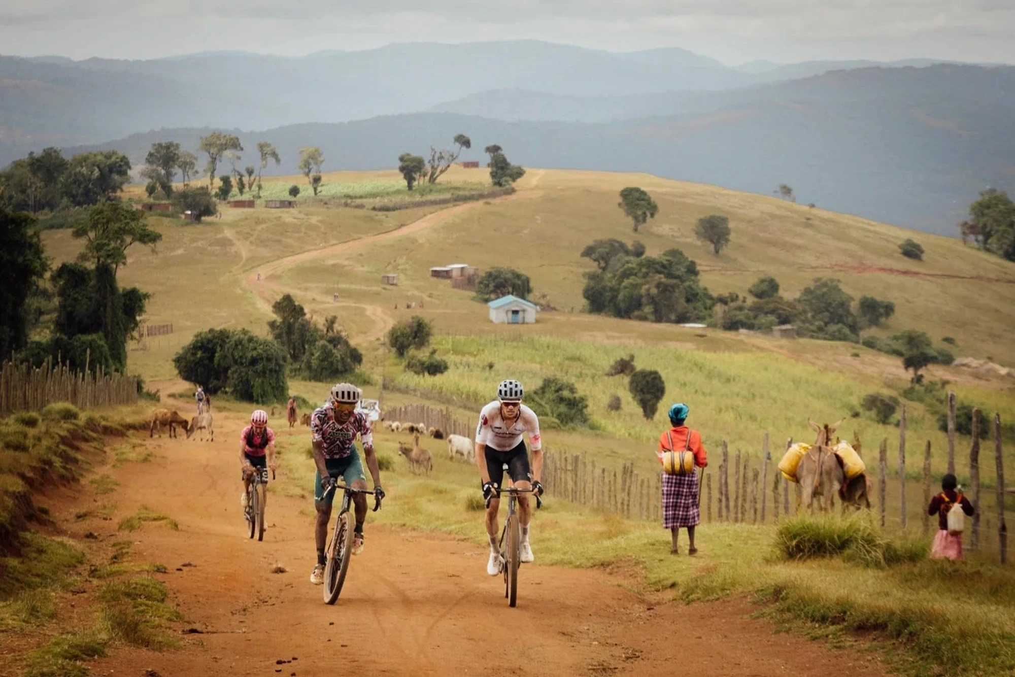 The Traka Adaptive Training Plan