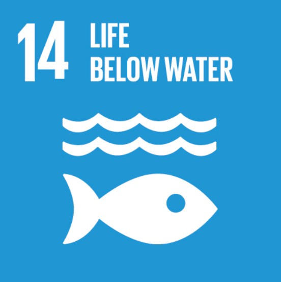 The image represents the fourteenth United Nations Sustainable Development Goal (SDG 14), which is "Life Below Water." It features a light blue background with the text "14 Life Below Water" at the top. Below the text, there is a white icon of a fish swimming under three wavy lines representing water, symbolizing marine life and ecosystems. This goal emphasizes conserving and sustainably using the oceans, seas, and marine resources for sustainable development.