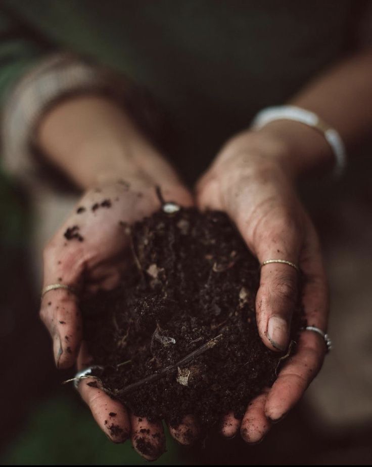Hands holding a mound of rich soil, symbolizing grounding and renewal