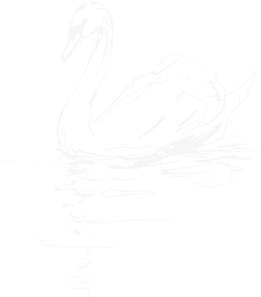 Line drawing image of a swan sitting on a moonlit body of water against a transparent background