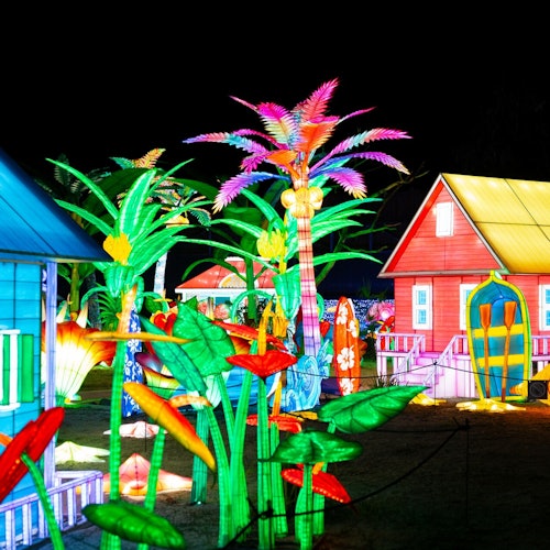 Schnelleinlass-Tickets für den Zoo Amnéville